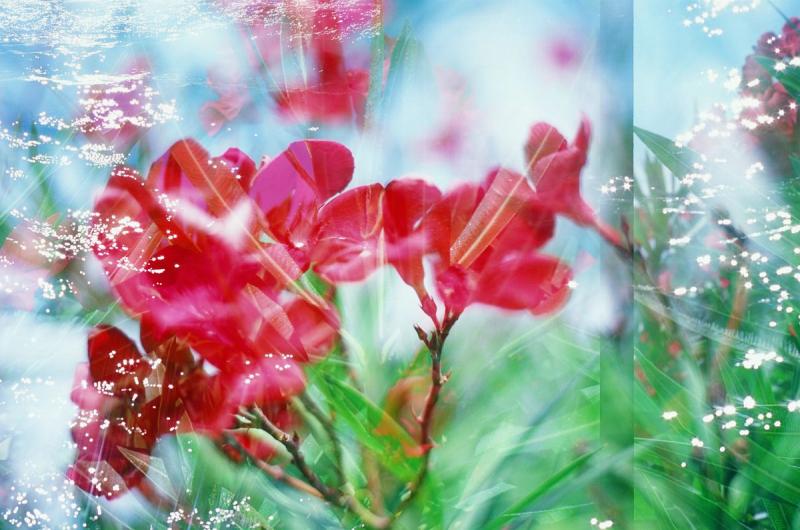 The Subtle Body Balance treatment activates the subtle body ( (C) npicola, iStock)