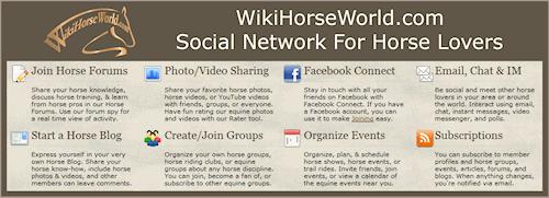 Social Network for Horse Lovers