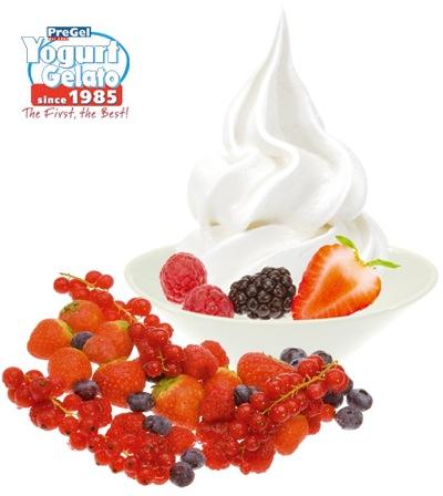 PreGel Yogurt: 25 years in gelato market