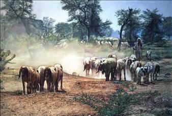The Sheep Breeder, Punjab, Pakistan