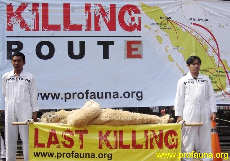 ProFauna launched "LAST KILLING" campaign in Jakarta, Indonesia (9/17/2008) urging the government tocurb and stop the illegal wildlife trade in Sumatera.