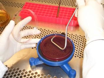 MicroMols 17025 accreditation successful