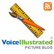 Voice Illustrated Blog
