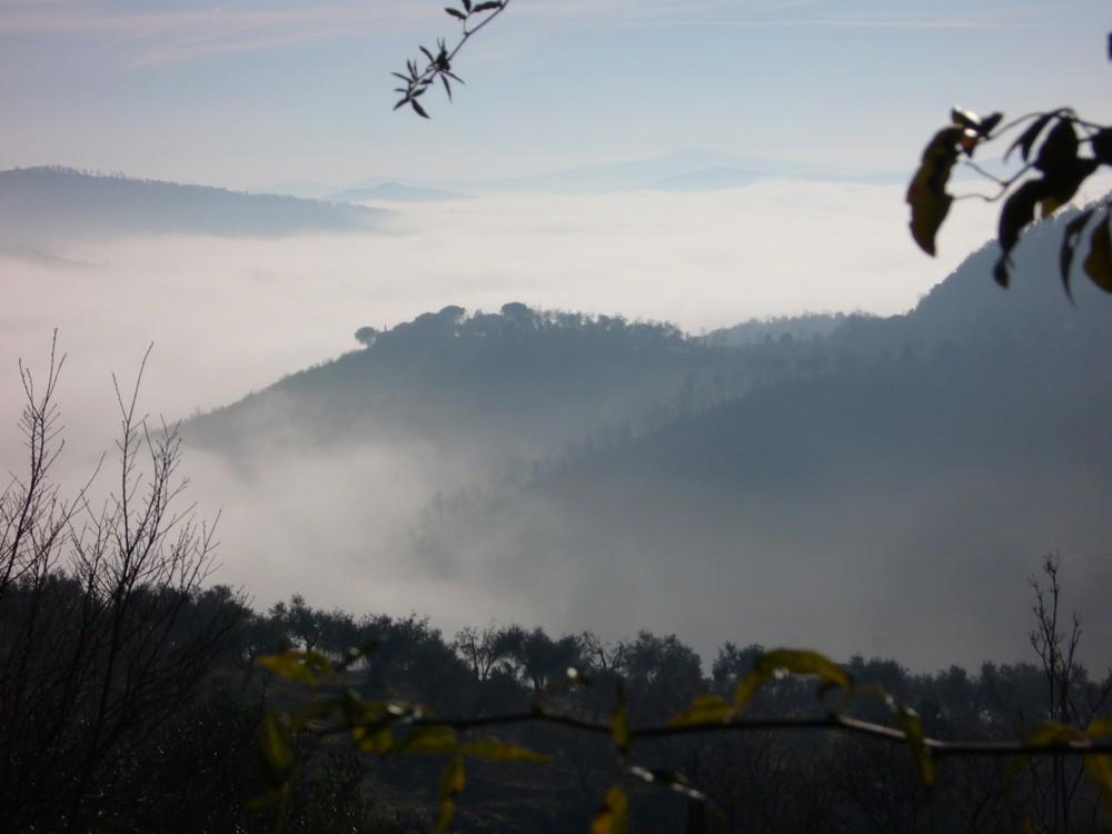 Morning mist at Lago di Trasimeno, magical time for hiking the Trasimeno hills