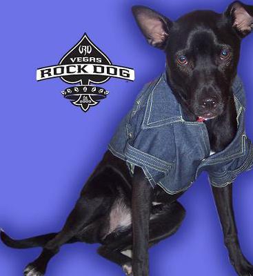 Vegas Rock Dog Denim Rocker Jacket